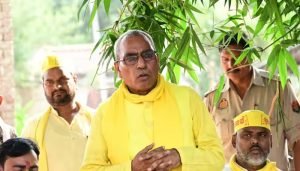OP Rajbhar: अखिलेश यादव कहीं अब PDA के 'A' का मतलब 'आतंकवादी' न बता दें