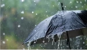 Monsoon 2026: मानसून ने पकड़ी रफ्तार: केरल में भारी बारिश, तमिलनाडु में 9 जून तक अलर्ट