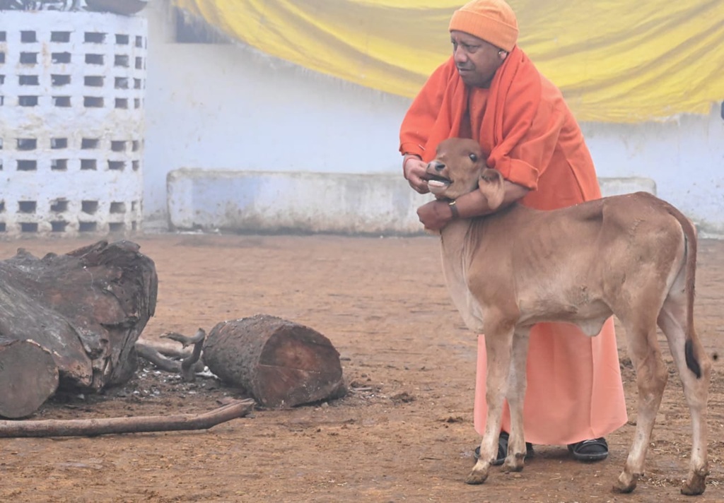 गोरखनाथ मंदिर में सीएम योगी ने गौ सेवा कर दिखाया सनातन संस्कृति का आदर्श