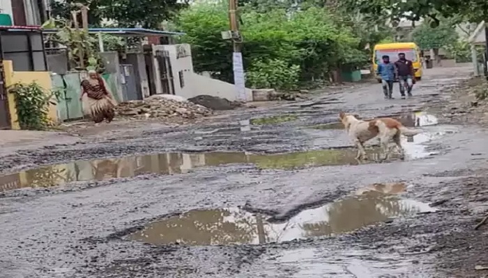 बाढ़-बारिश से क्षतिग्रस्त बरेली की इन आठ सड़कों की होगी विशेष मरम्मत, 1.75 करोड़ स्‍वीकृत