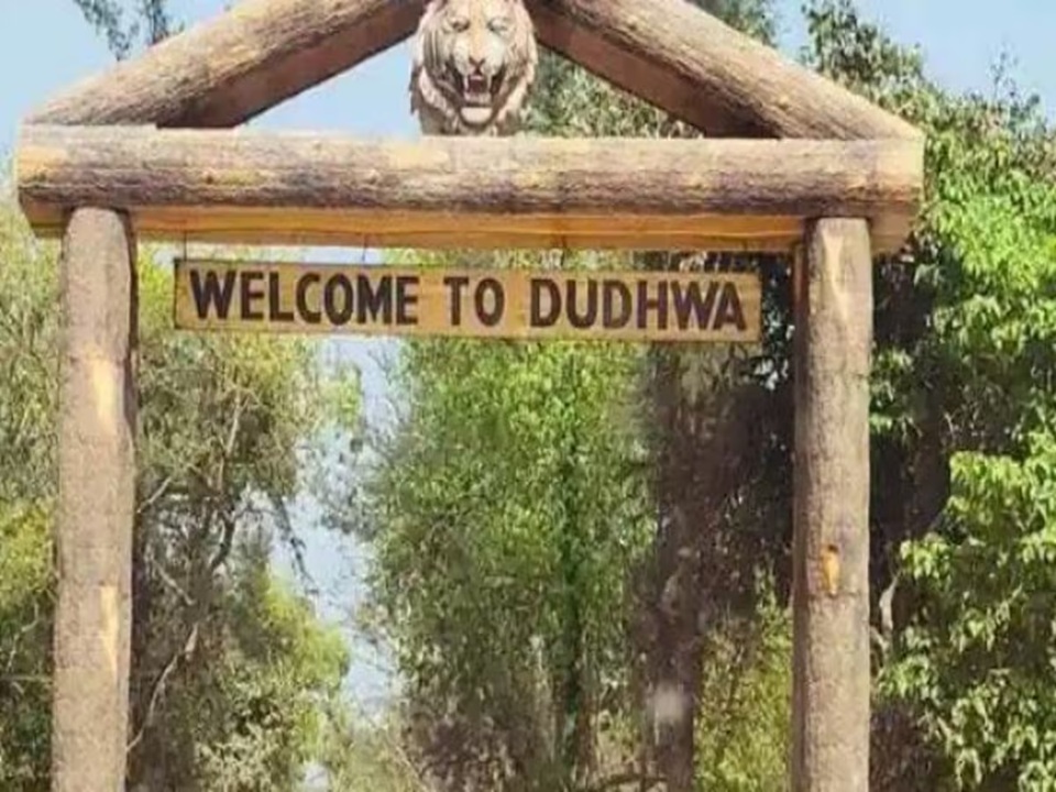 नवंबर में आयोजित होगा यूपी का पहला दुधवा महोत्सव
