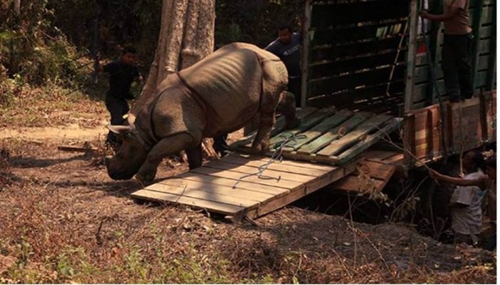 UP: गैंडों के संरक्षण के लिए बनेंगे राइनो रिहैबिलिटेशन सेंटर