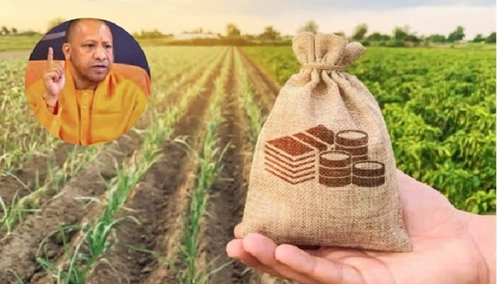किसानों को अच्छा और सस्ता बीज उपलब्‍ध कराएगी योगी सरकार, बीज पार्क में होगा उच्च उत्पादन