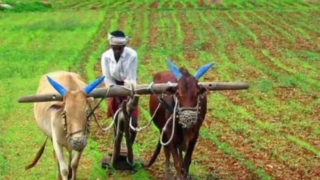 बरेली, मुरादाबाद समेत इन मंडलों के किसानों को मिलेगी कार्बन क्रेडिट की धनराशि