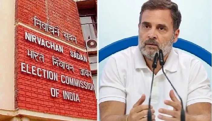 राहुल गांधी के आरोप का चुनाव आयोग ने किया खंडन, कहा- नाम ऑनलाइन डिलीट नहीं होते