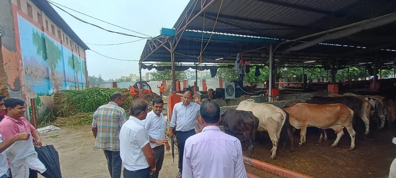 UP News: नगर निगमों में चला 12 घंटे का स्पेशल ऑपरेशन