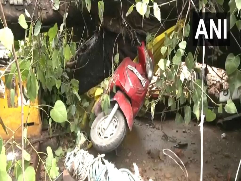 Lucknow News: मछली मंडी पर गिरा पीपल का पेड़, एक की मौत, चार घायल