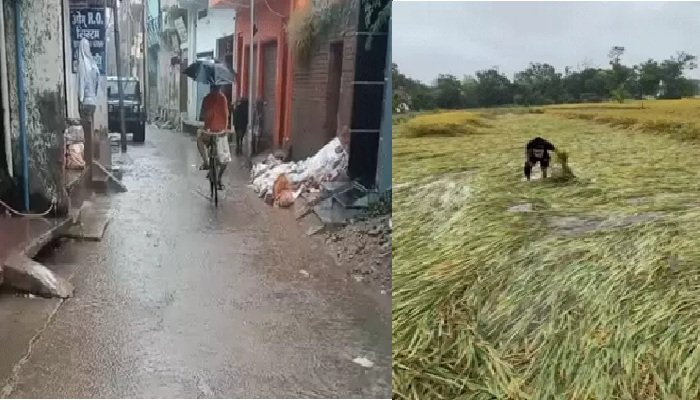 यूपी के 20 शहरों में बेमौसम बारिश से फसलें बर्बाद, किसान बोले- दाना-चारा सब खराब हो गया