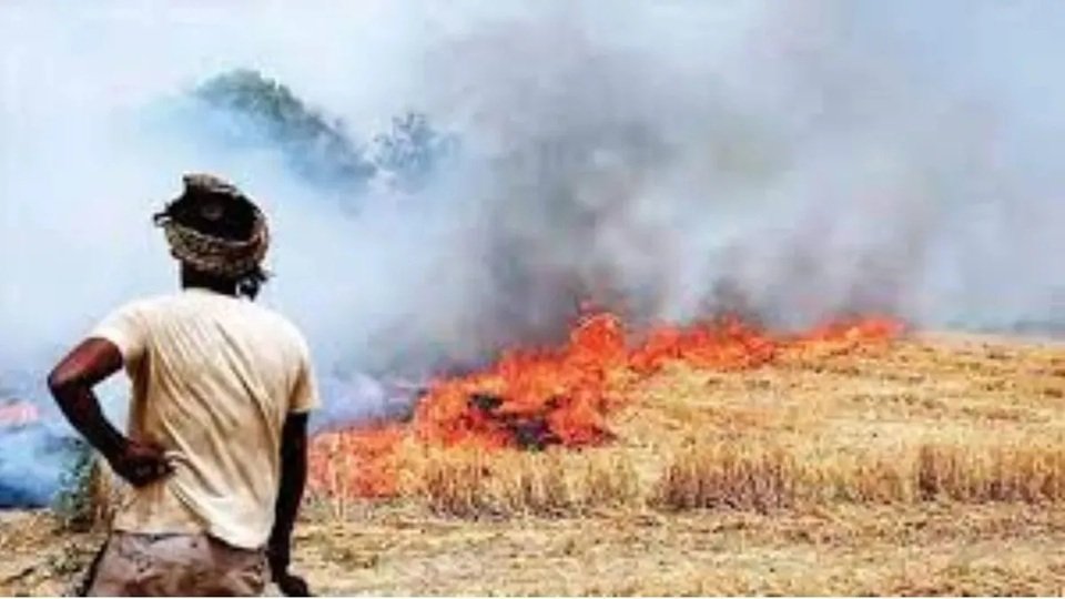 UP News: पराली जलाने की घटनाओं पर अंकुश लगाएं अधिकारी