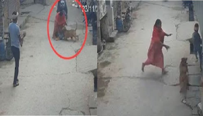 दिल्ली में पिटबुल ने 6 साल के बच्चे पर किया हमला, कान कटा और चेहरे पर 10 गहरे घाव; मालिक गिरफ्तार