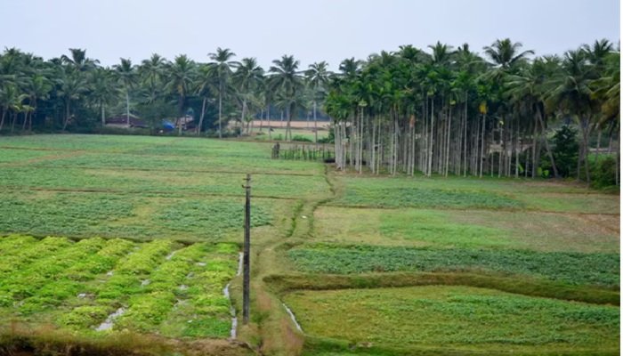 यूपी में चकबंदी के लिए नए सिरे से तैयार होंगे जमीनों के नक्शे, ऑनलाइन होंगे सटीक आंकड़े