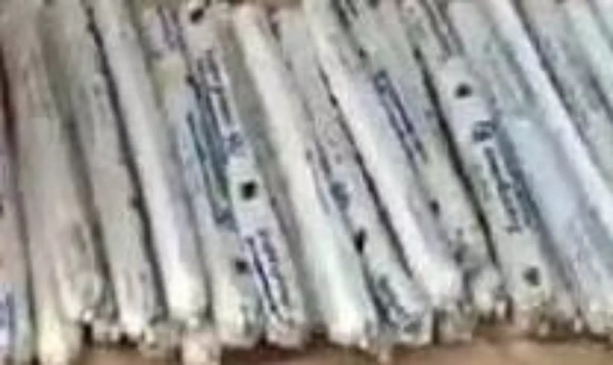 Uttarakhand: अल्मोड़ा में स्कूल के पास मिलीं 161 जिलेटिन रॉड, जांच में जुटी पुलिस