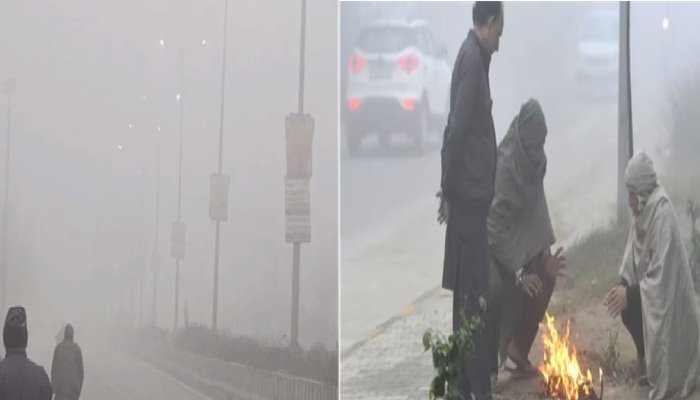 बरेली में पारा 3.8 डिग्री, बर्फीली हवाओं और पाले ने बढ़ाई ठिठुरन; अस्‍पतालों में बढ़े मरीज