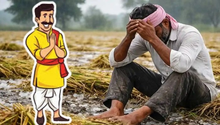 बारिश से फसलों का नुकसान, टोल-फ्री नंबर 14447 पर दें जानकारी, मिलेगा मुआवजा: CM योगी  