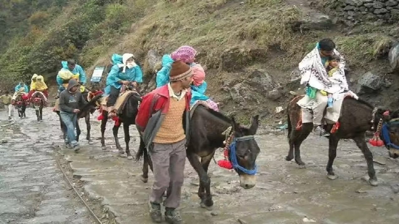 Char Dham Yatra में नहीं चलेंगे अनफिट घोड़े-खच्चर, मंत्री का सख्त निर्देश