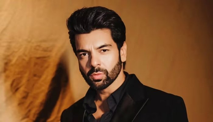 टीवी एक्टर विपुल रॉय के घर चोरी, नौकरानी पर सोने-चांदी के गहने और नकदी पार करने का आरोप