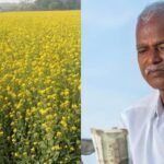 यूपी के किसानों को 04 मई को मिलेगी फसल क्षतिपूर्ति, खर्च होंगे 122.28 करोड़