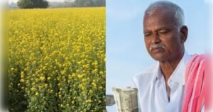 यूपी के किसानों को 04 मई को मिलेगी फसल क्षतिपूर्ति, खर्च होंगे 122.28 करोड़
