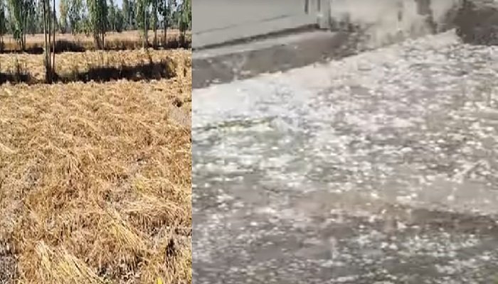 यूपी के मथुरा-जालौन समेत तीन जिलों में गिरे ओले, 10 शहरों में बारिश