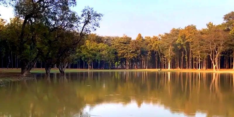 Gorakhpur: कुसम्ही जंगल में स्थापित किया जा रहा ईको पार्क, पर्यटन को मिलेगा बढ़ावा