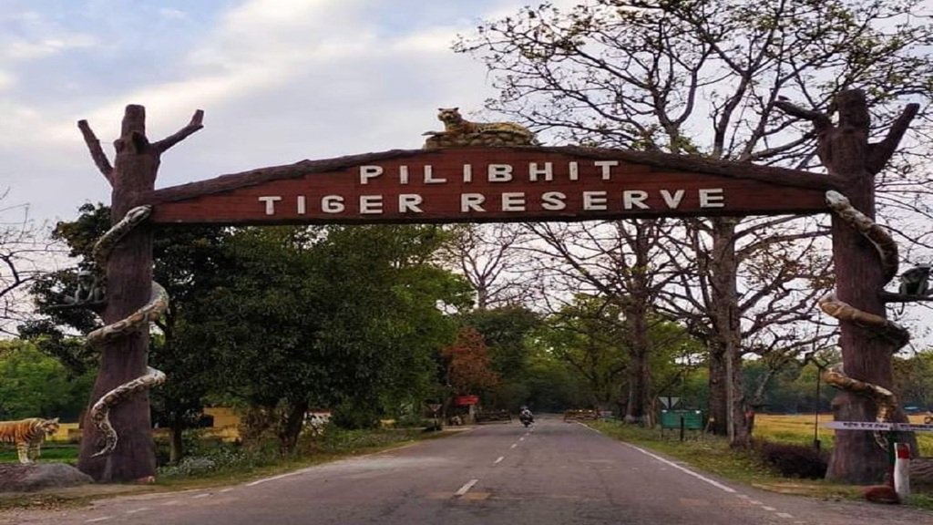 Pilibhit: पर्यटकों की सुविधानुसार बदल गया जंगल सफारी का टाइम