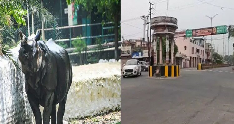 यूपी में कल से आंधी-बारिश का अलर्ट, 30-40 की स्पीड से हवाएं चलने के साथ गिर सकते हैं ओले