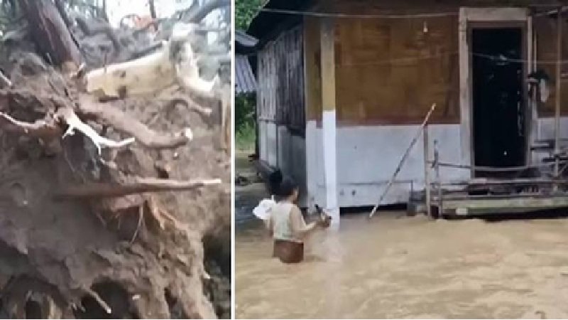 यूपी-बिहार और छत्तीसगढ़ में पेड़-बिजली गिरने से 13 मौतें, दिल्ली-हरियाणा में तापमान 43°C
