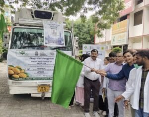 UP के आम्रपाली आम को मिली वैश्विक पहचान, 1200 किलोग्राम की खेप लंदन रवाना